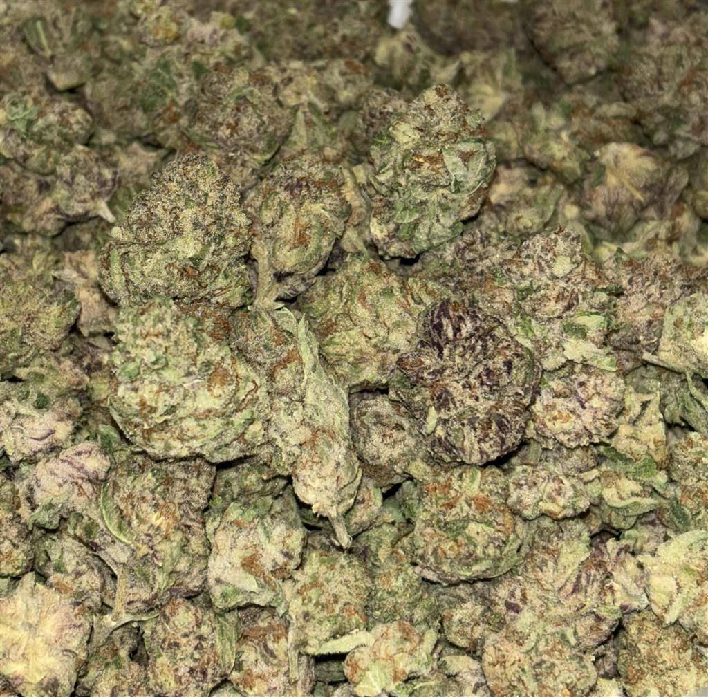 purple punch (small/medium)